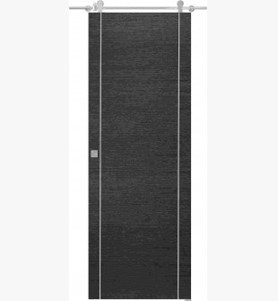 Avanti 2U Black Apricot Barn doors