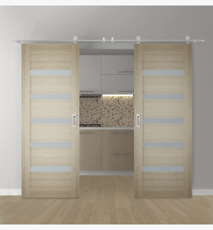 DOUBLE BARN DOOR LEORA VETRO SHAMBOR 60" X 84" X 1 3/4" STAINLESS STEEL HARDWARE