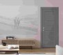 Alda Gray Matte Double pocket doors