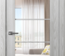 Avon 5 Lite Clear Vetro Ribeira Ash Modern Interior Door by Belldinni