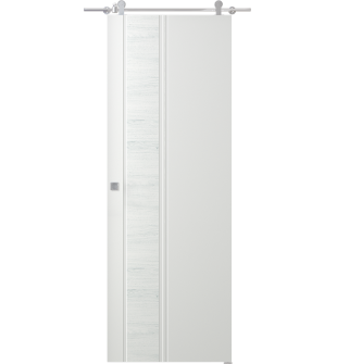 Twinwood 1 Polar White Barn doors