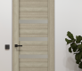 Rita Vetro Shambor Modern Interior Frameless Door by Belldinni