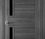 Esta Bl Vetro Gray Oak Modern Interior Door by Belldinni