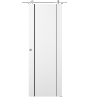 Smart Pro 2U Black Polar White Barn doors
