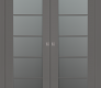 Avon 5 Lite Vetro Gray Matte Modern Interior Double Pocket Doors by Belldinni