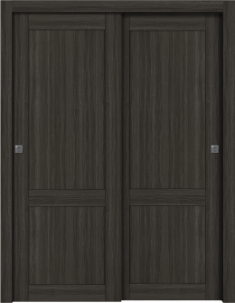 Shaker 2 Panel Gray Oak