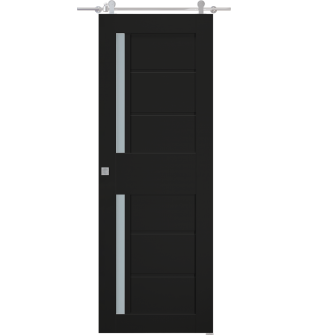 Esta Vetro Black Matte Barn doors