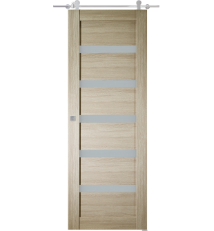 Leora Vetro Shambor Barn doors