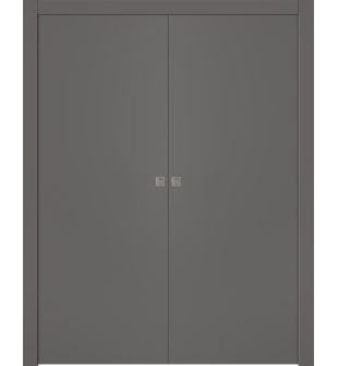 Optima Gray Matte Double pocket doors