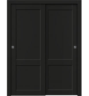 Shaker 2 Panel Black Matte Bypass doors