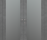 Avon 207 Vetro Dark Urban Modern Interior Double Swing Doors by Belldinni