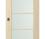 Avon 5 Lite Vetro Loire Ash Modern Interior Barn Door by Belldinni