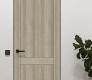 Shaker 2 Panel Shambor Modern Interior Frameless Door by Belldinni