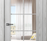 Avon 10 Lite Clear Ribeira Ash Modern Interior Door by Belldinni