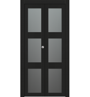 Avon 3 Lite Vetro Black Matte Bi-folding doors
