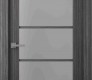 Palladio 5 Lite Vetro Gray Oak Modern Interior Door by Belldinni