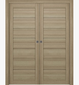 Alda Shambor Double pocket doors