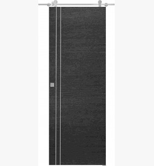 Avanti 2V Black Apricot Barn doors