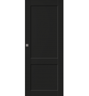 Shaker 2 Panel Black Matte Pocket doors