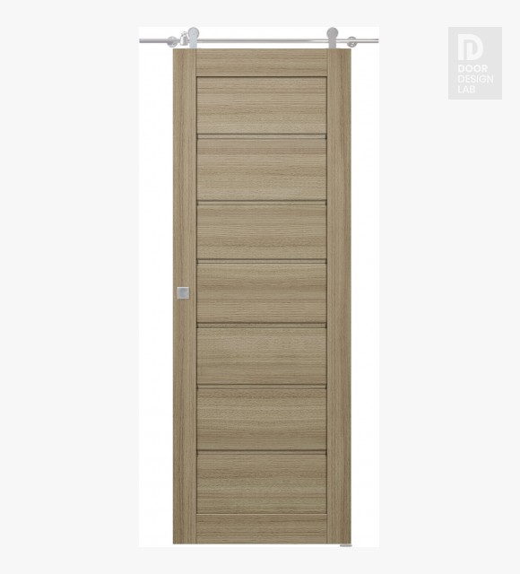 Alda Shambor Modern Interior Barn Door by Belldinni