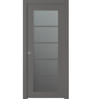 Avon 5 Lite Vetro Gray Matte Pocket doors
