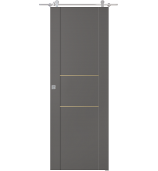 Avon 01 2H Gold Gray Matte Barn doors