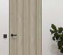Shaker 1 Panel Shambor Modern Interior Frameless Door by Belldinni