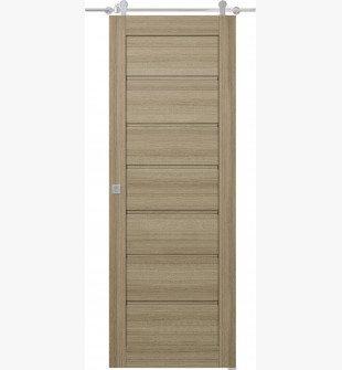 Alda Shambor Barn doors