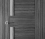 Esta Vetro Gray Oak Modern Interior Door by Belldinni