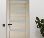 Leora Vetro Shambor Modern Interior Frameless Door by Belldinni