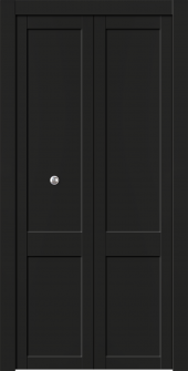 Shaker 2 Panel Black Matte