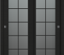 Avon 10 Lite Vetro Black Matte Modern Interior Bypass Doors by Belldinni