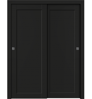 Shaker 1 Panel Black Matte Bypass doors