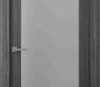 Palladio 202 Vetro Gray Oak Modern Interior Door by Belldinni