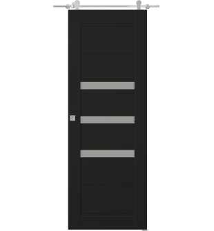 Rita Vetro Black Matte Barn doors