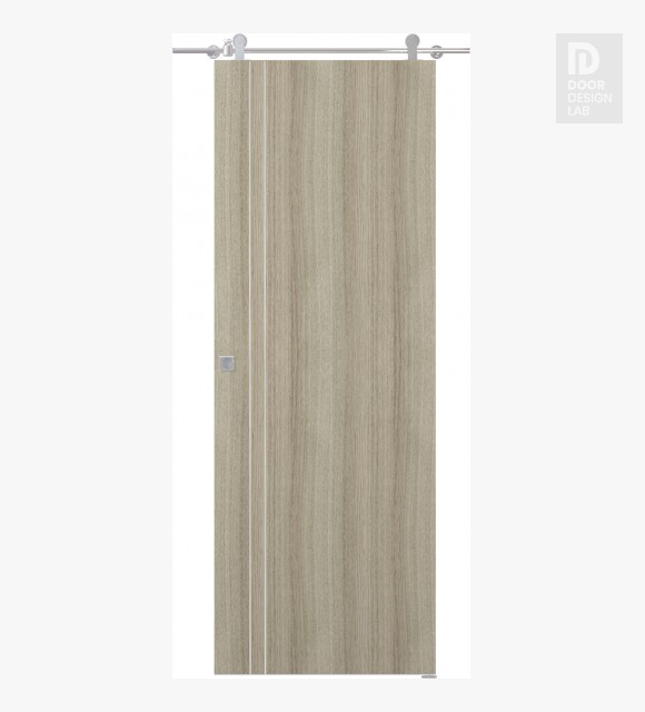 Optima 2V Shambor Modern Interior Barn Door by Belldinni